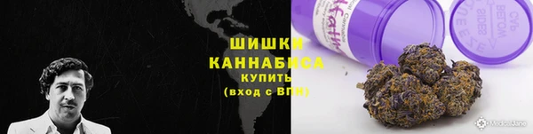 стаф Новозыбков