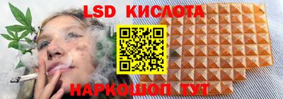 спайс Кимры