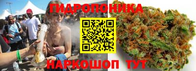 трава Кингисепп