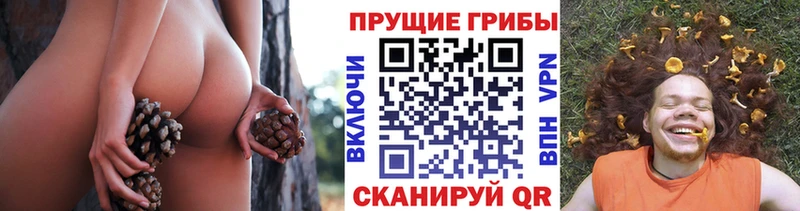 KRAKEN tor  сайты даркнета телеграм  Псилоцибиновые грибы Psilocybe  Ипатово 