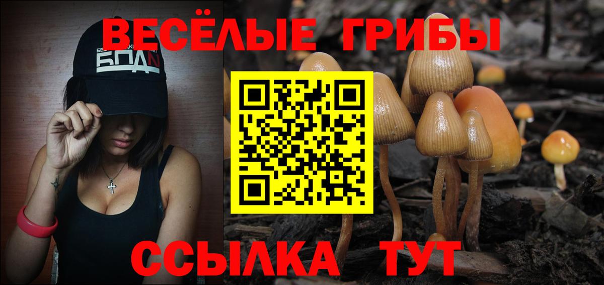 Ипатово  Псилоцибиновые грибы GOLDEN TEACHER  Псилоцибиновые грибы прущие грибы  Вход с VPN 